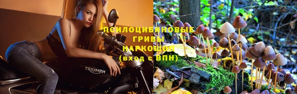 скорость Аркадак
